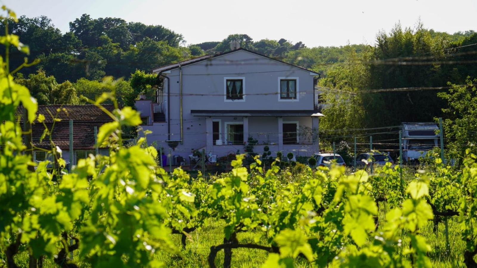 مبيت وإفطار كابانّوري Wine House المظهر الخارجي الصورة