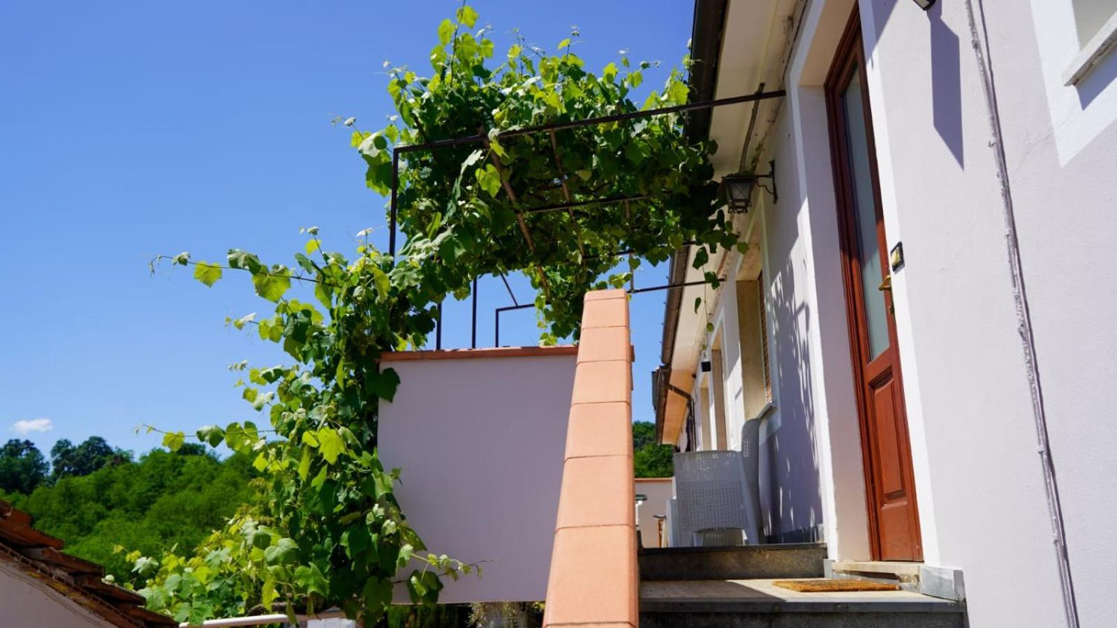 مبيت وإفطار كابانّوري Wine House المظهر الخارجي الصورة
