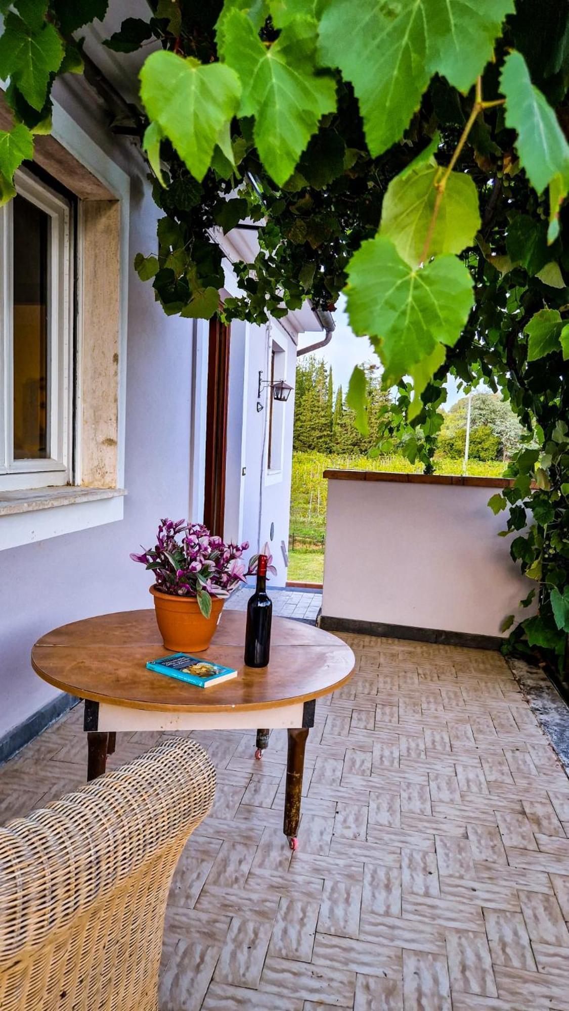 مبيت وإفطار كابانّوري Wine House المظهر الخارجي الصورة