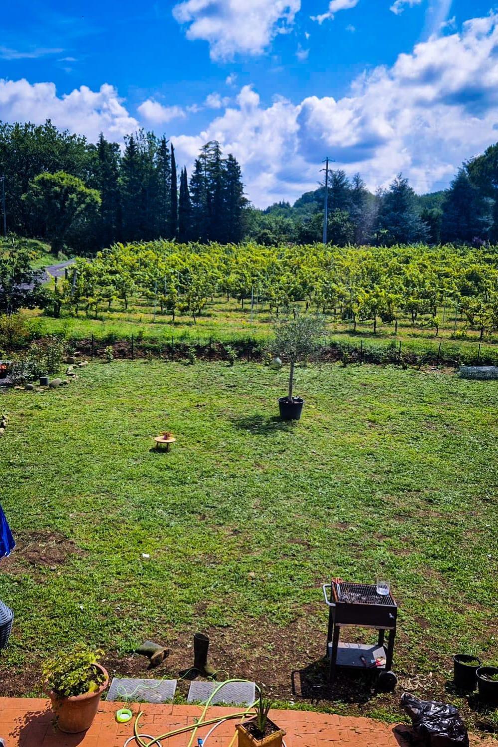 مبيت وإفطار كابانّوري Wine House المظهر الخارجي الصورة